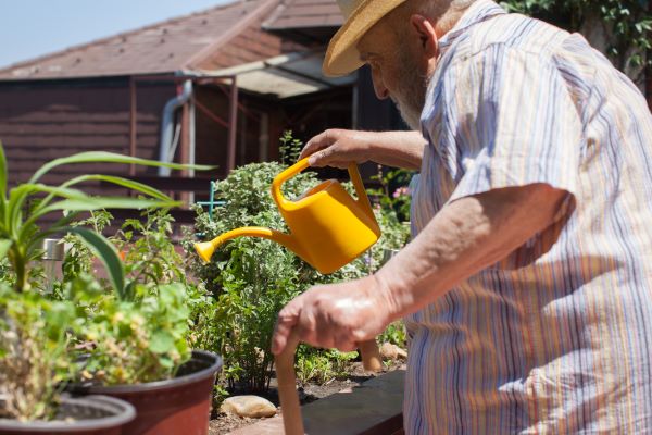 Resident watering plants in his garden