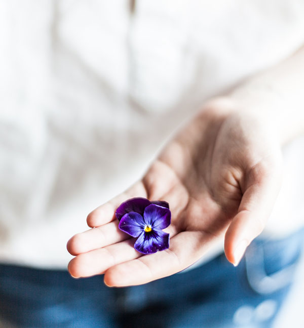 Photo by Alex Lvrs - Hand gently holding a violet flower