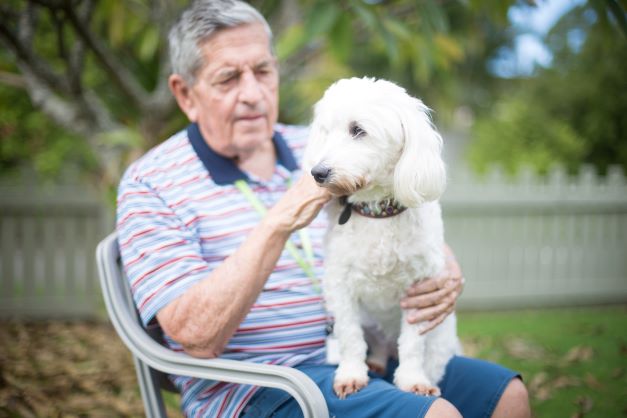 Therapy dog and Eden companion aged care with resident