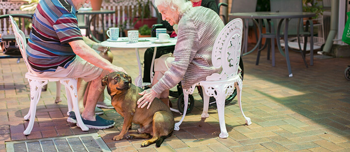 Residents and pets at Bethesda