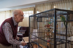 Pets play an important role in our aged care homes