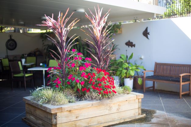 Raised garden bed at Kentish Court