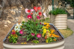 Gardening at Knowles Court