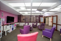 Bright lounge room with purple feature wall and purple and pink armchairs