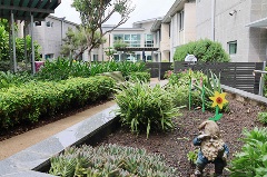 Outdoor garden at Parkview Residential Aged Care Community in Chermside Brisbane North