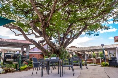 St Mark's outdoors seating area