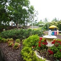 Garden at Nash Court residential aged care community, in Sinnamon Village precinct