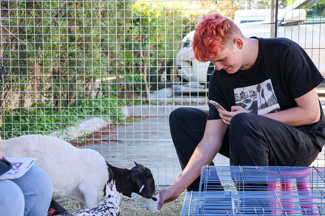 Petting zoo at Logan Youth Foyer annual celebration